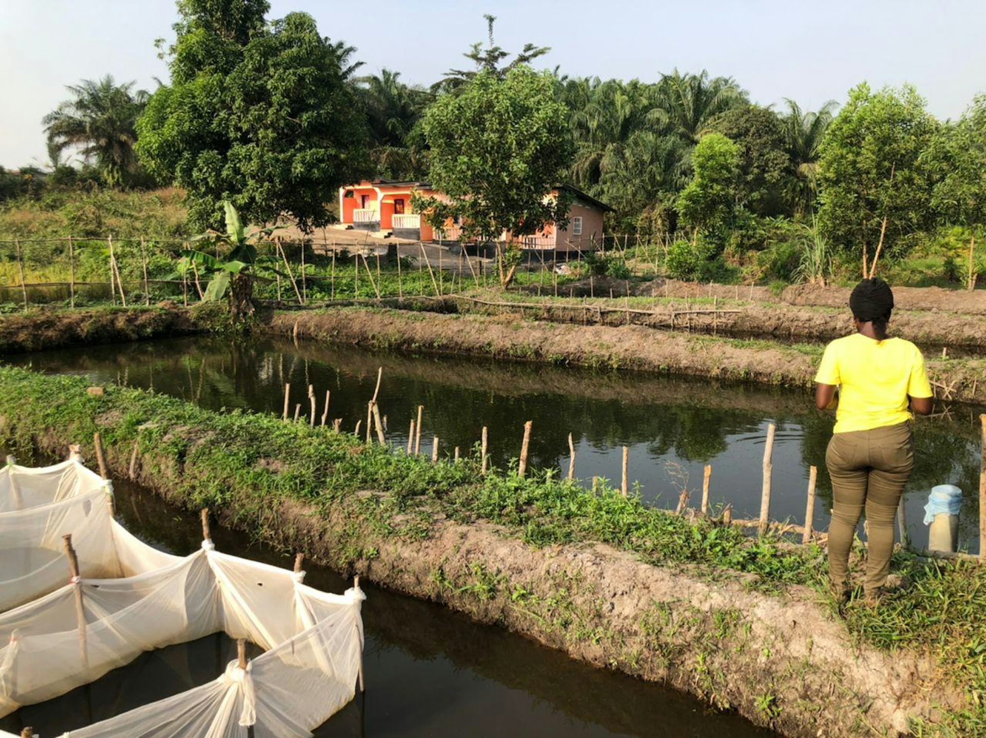 Sierra Leoneans who live off the sea don’t trust farmed fish – but wild fish are in decline