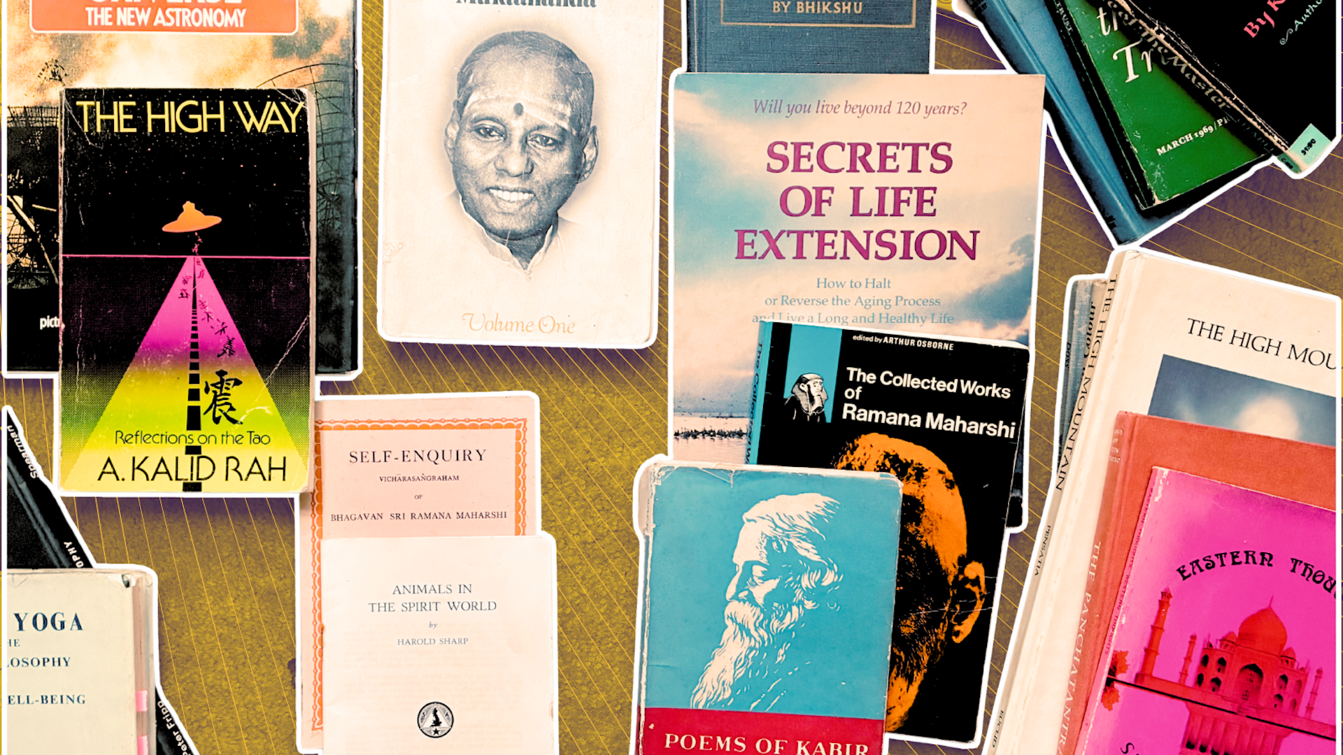 I found Australian cult The Family’s left-behind library. Here’s what their books reveal