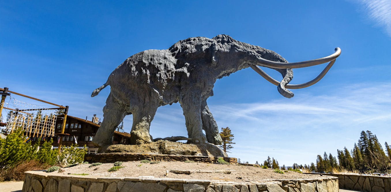 Some companies claim they can 'resurrect' species. Does that make people more comfortable with extinction?