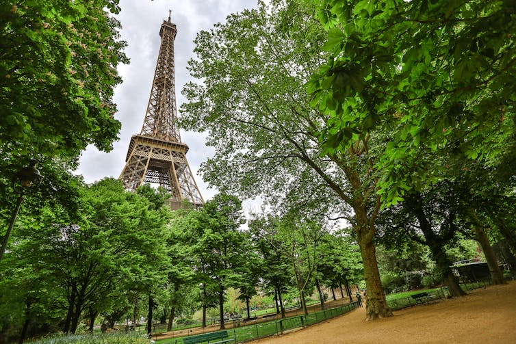 A row of green trees stand in front of the Eiffel Tower, in the background.