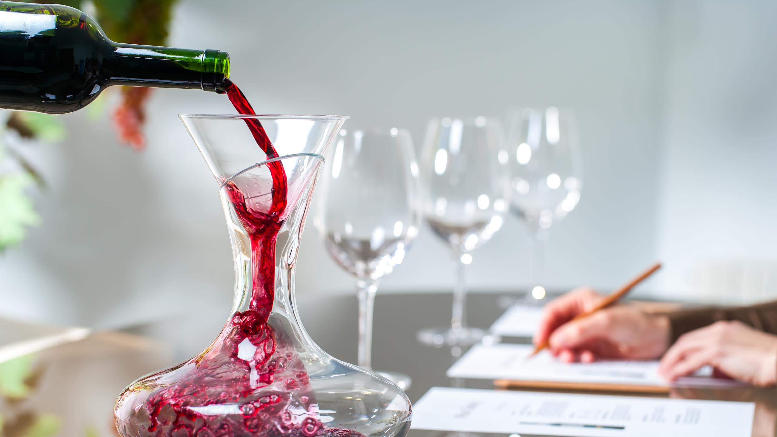 Close up of sommelier pouring red wine into decanter at wine tasting session