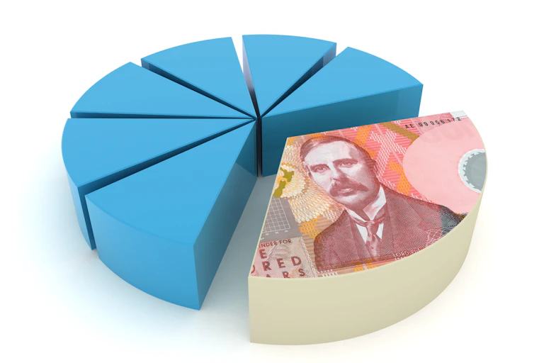 pie graphic with one slice in NZ currency