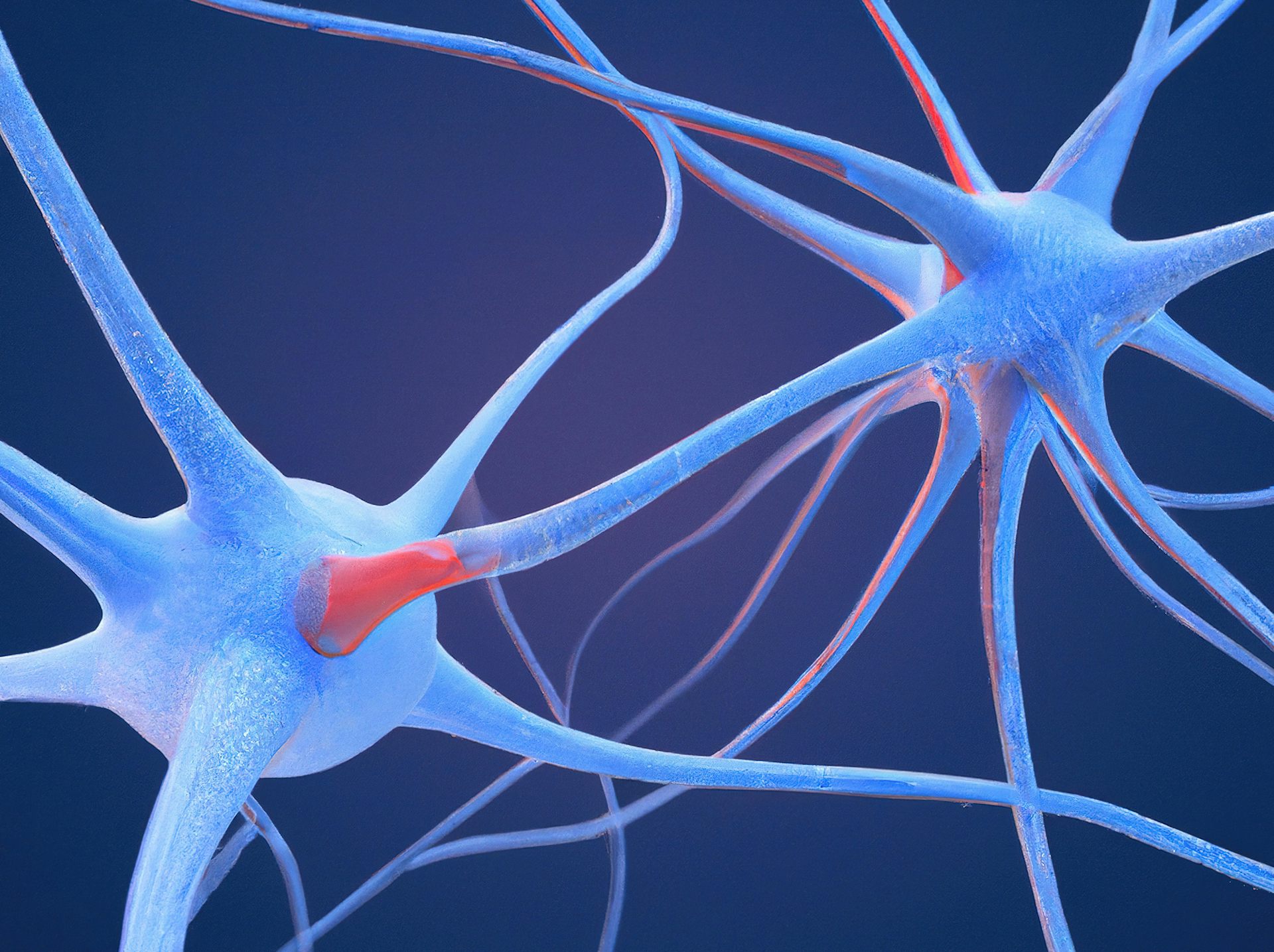 Rendering of neuron connections on a dark blue background