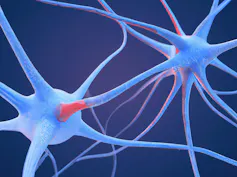 Rendering of neuron connections on a dark blue background