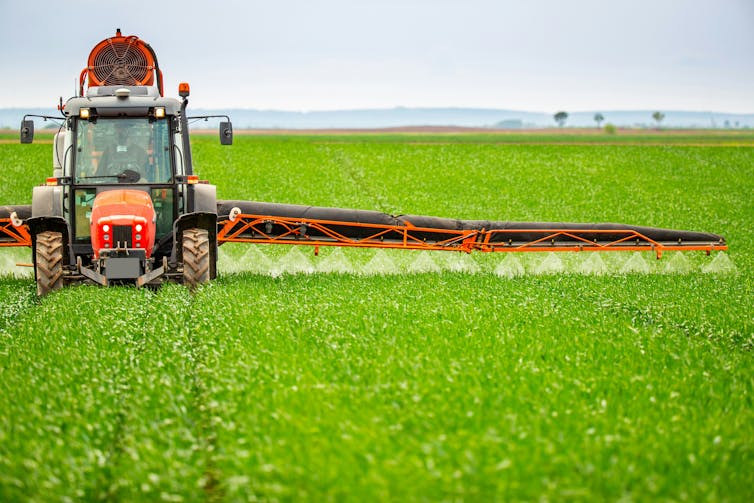un tractor en un campo agrícola rociando líquido sobre cultivos