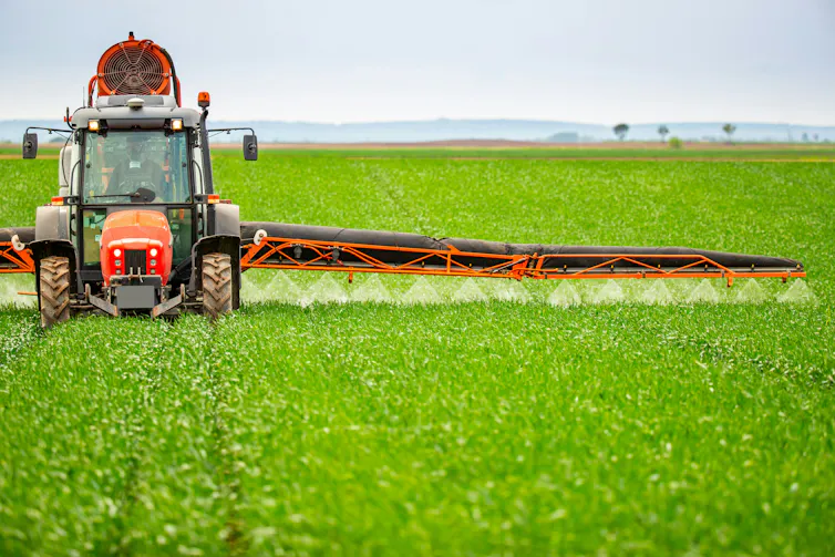 a tractor in a farm field spraying a liquid onto crops