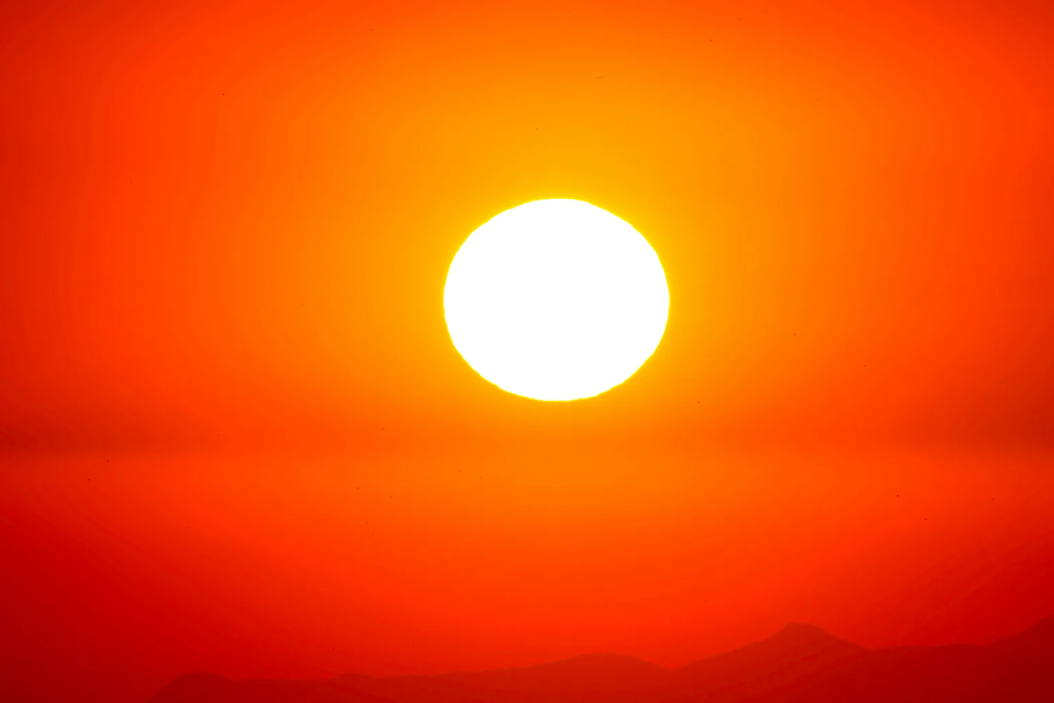 Heat with no end: climate model sets out an unbearable future for parts ...