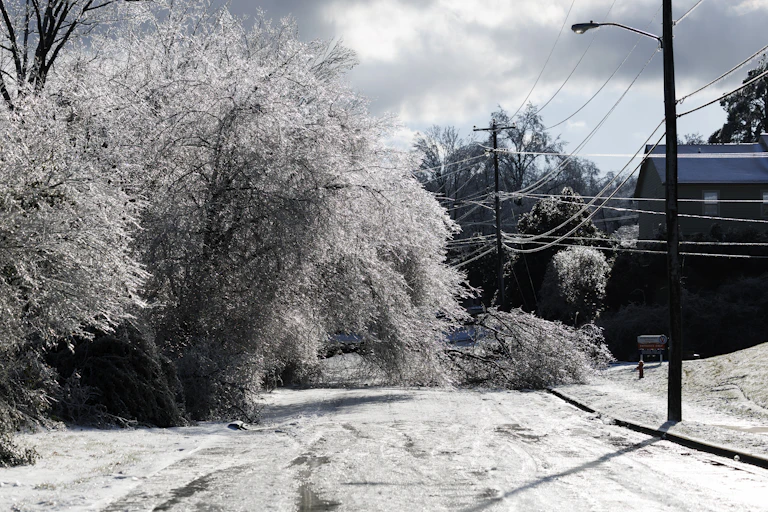 A downed tree blocks a snowy road and touches power lines.