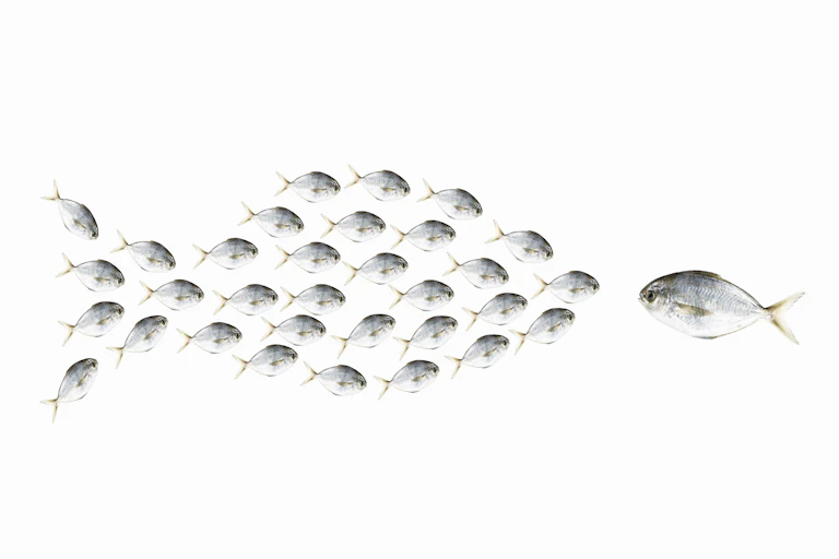 Graphic of a fish confronting a fish-shaped school of much smaller fishes