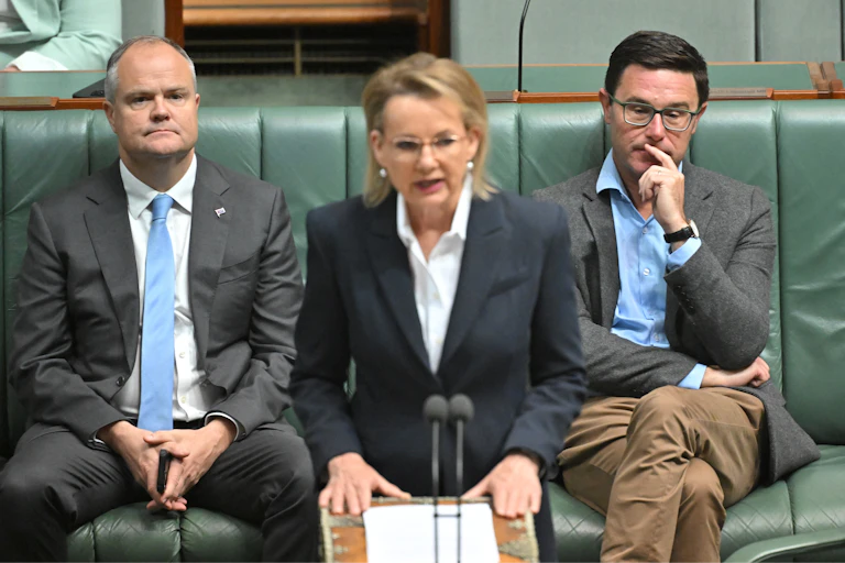 Opposition leader speaks at the despatch box in Parliament House.