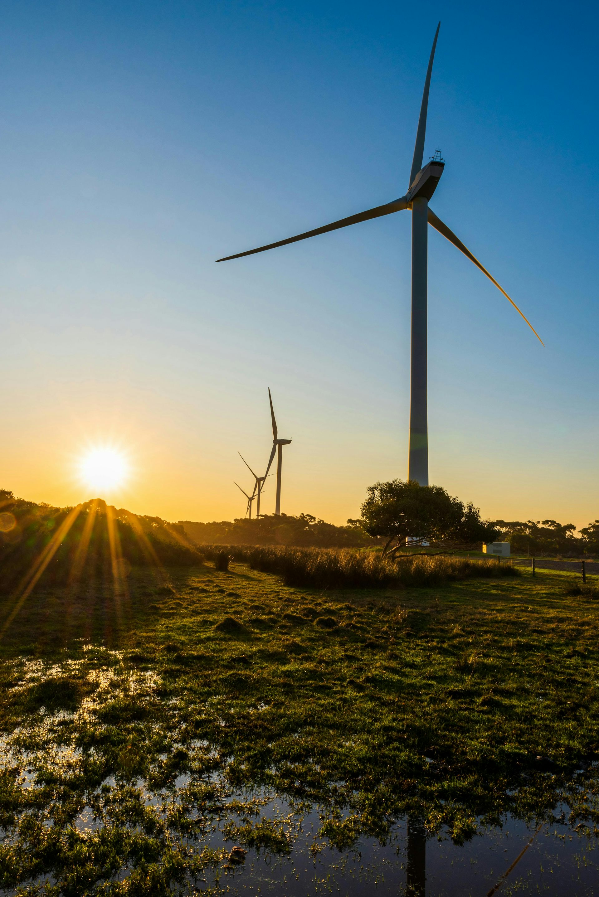 Renewables over 50%, wholesale prices down – is the energy transition… succeeding?