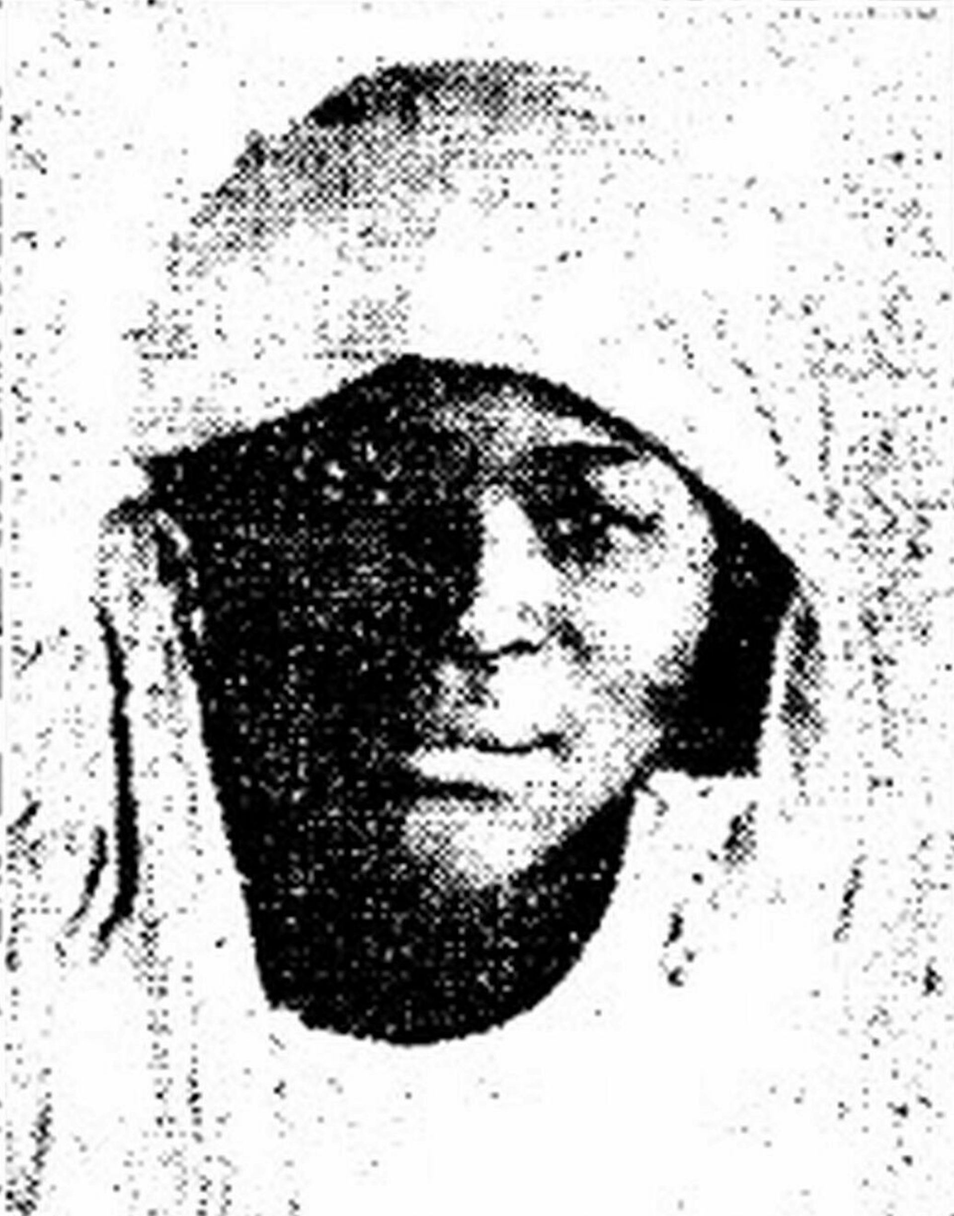 Revisiting the story of Clementine Barnabet, a Black woman blamed for serial murders in the Jim Crow South
