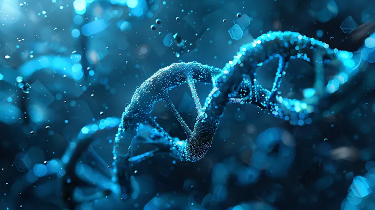Um gráfico mostrando a dupla hélice do DNA humano.
