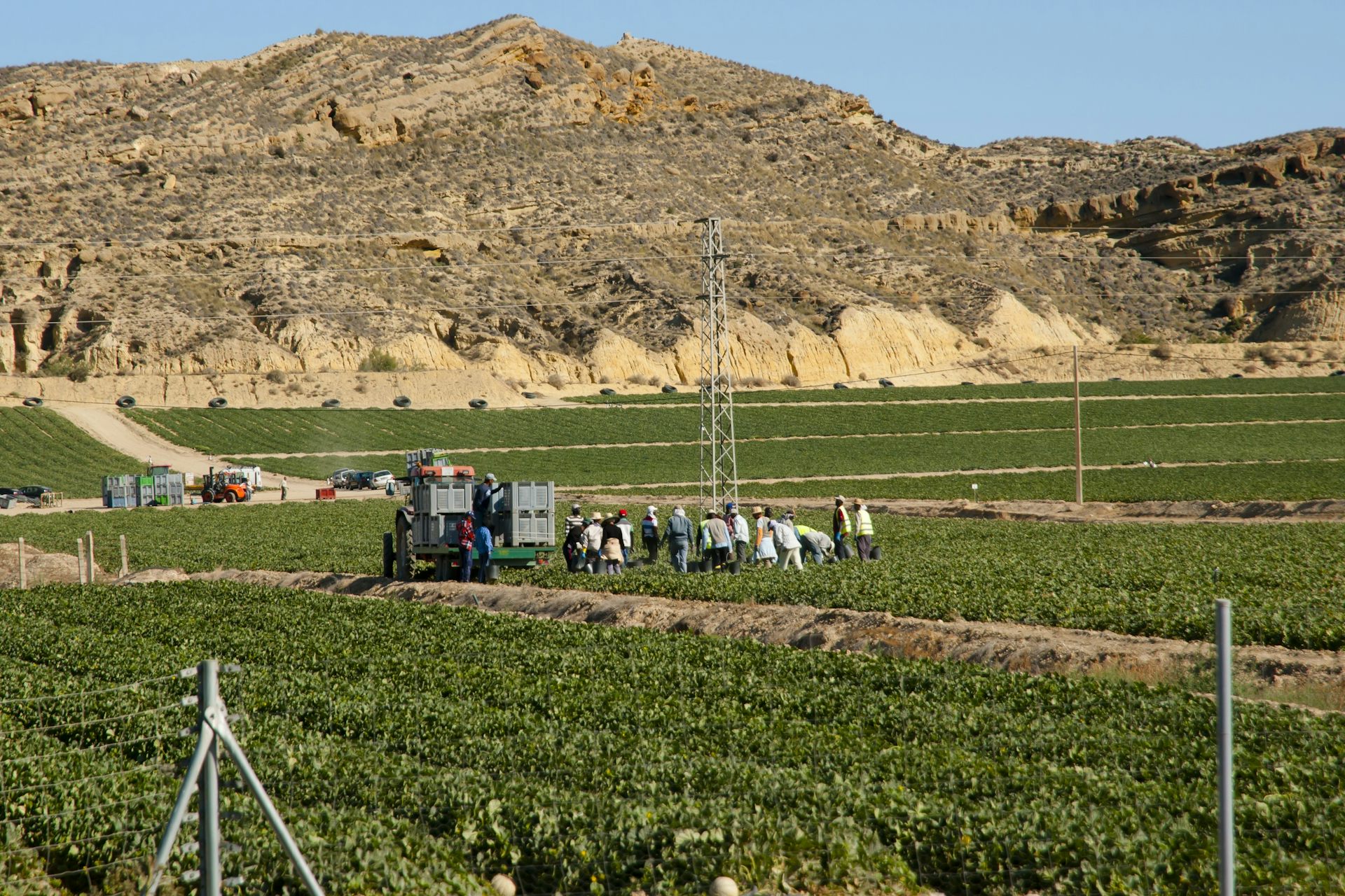 Spain’s mass regularisation for 500,000 undocumented migrants is not extreme, unprecedented or opportunistic