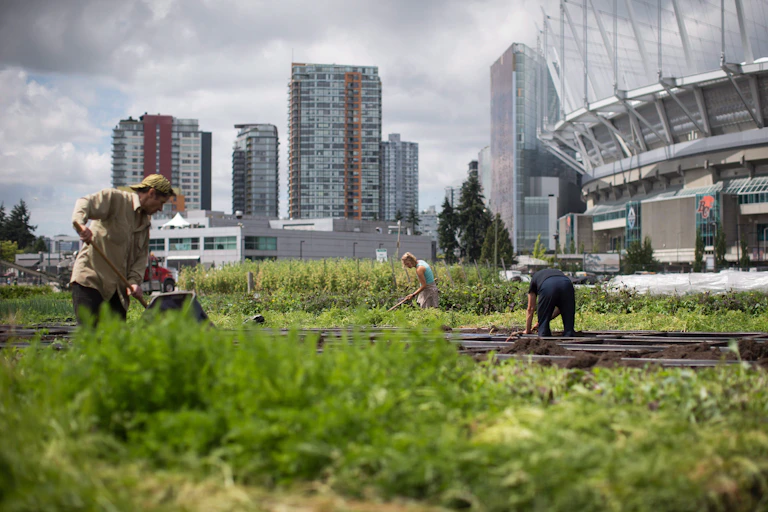 Des personnes utilisant des outils agricoles travaillent parmi des plantes vertes. De grands bâtiments en verre et un stade sont visibles à l'arrière-plan.