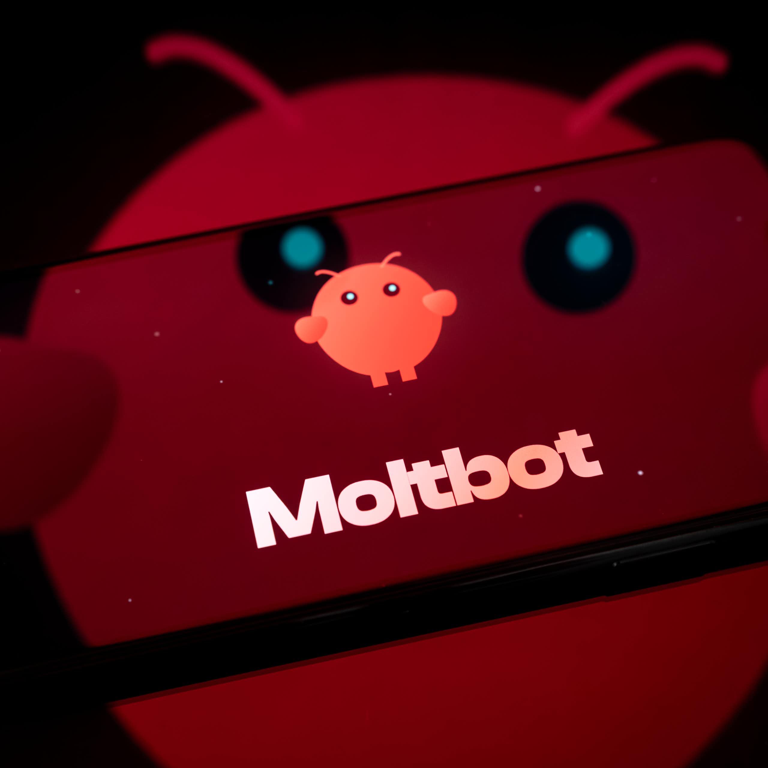 A smartphone screen showing a cartoon lobster and the word 'Moltbot'