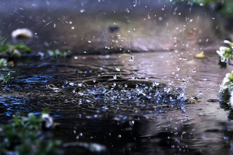 raindrops falling on puddle