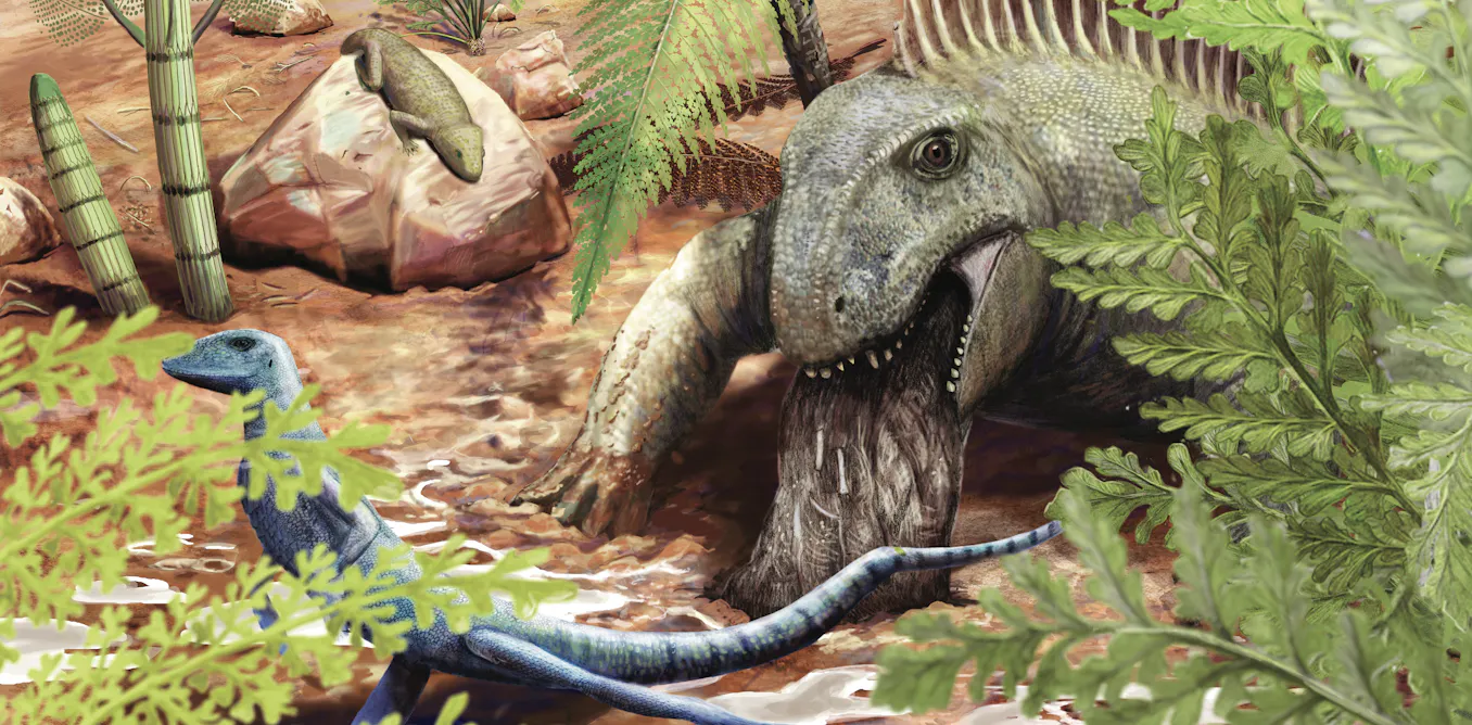 Le plus ancien vomi fossile par un animal terrestre nous indique le menu d’un prédateur ayant vécu il y a 290 millions d’années Le plus ancien vomi fossile par un animal terrestre nous indique le menu d’un prédateur ayant vécu il y a 290 millions d’années