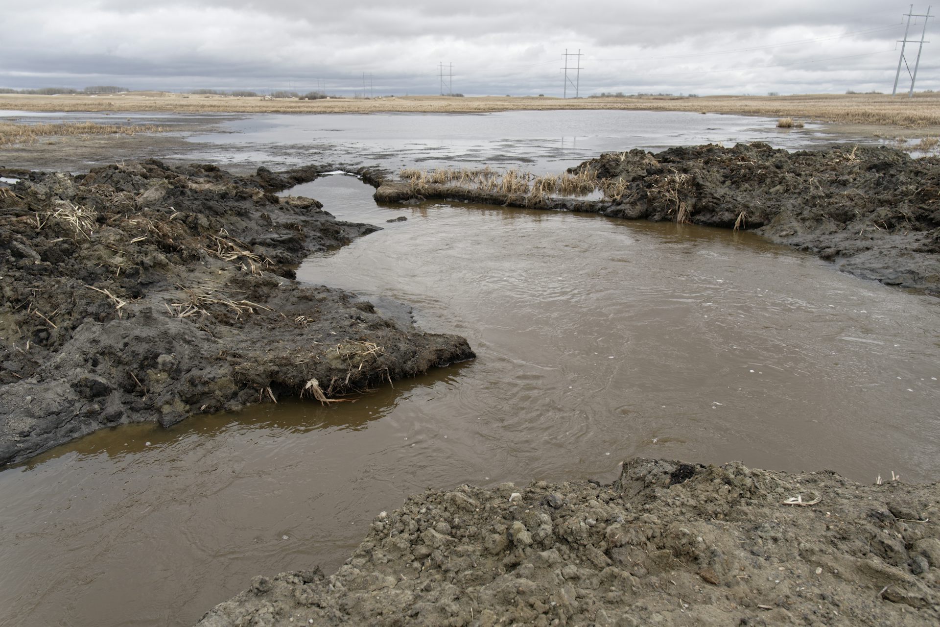 Un charco de agua fangosa en un campo marrón