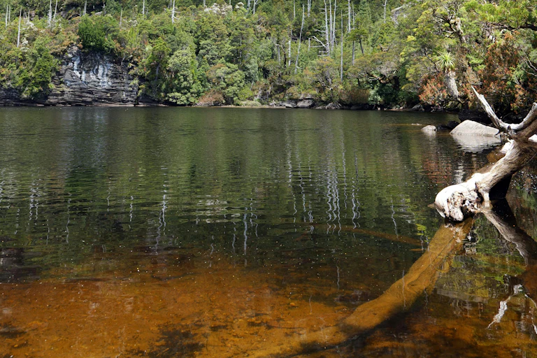 A tannin-stained river in Tasmania