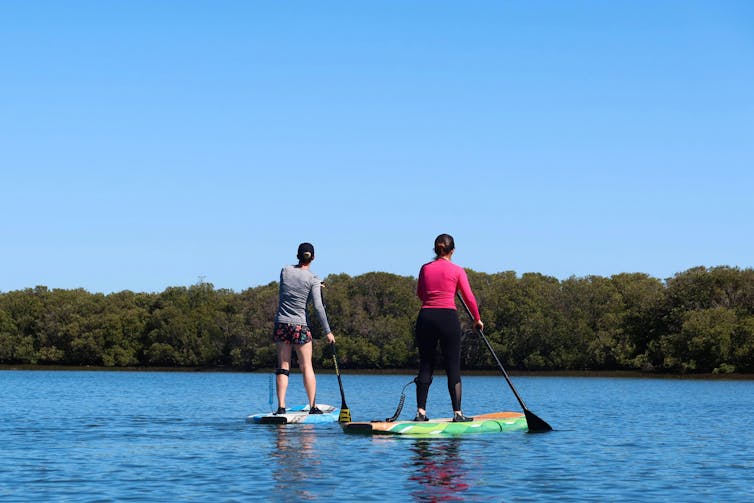 Two paddleboards on calm water.