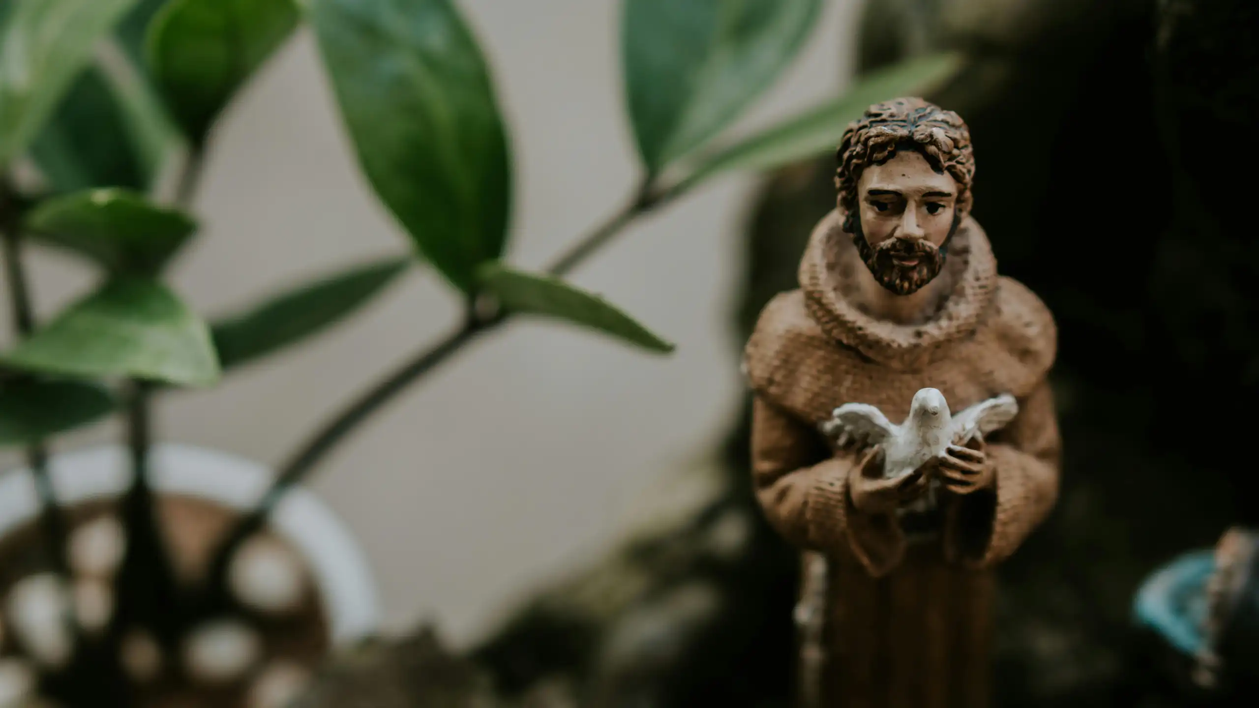 Saint François d'Assise.