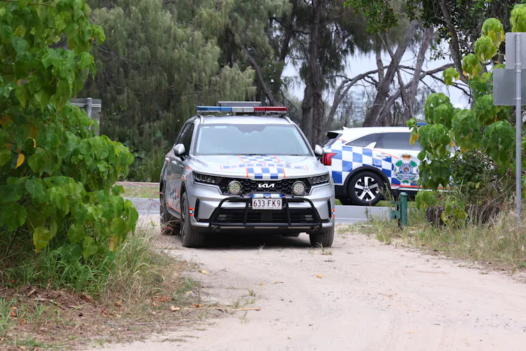 police cars and trees