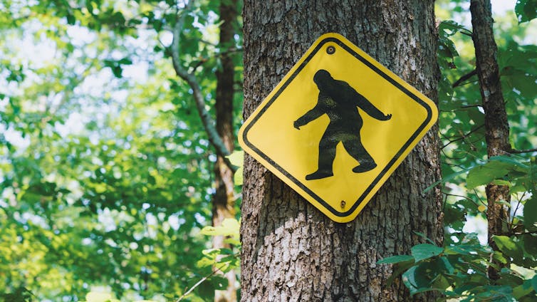 A bigfoot sign at the Natural Bridge Of Arkansas park.