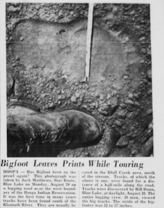 Photograph of an alleged Bigfoot footprint taken in Hoopa, California in September 1962 and featured in a Humboldt Times newspaper article.