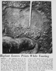 Photographie d’une prétendue empreinte de Bigfoot, prise à Hoopa (Californie) en septembre 1962 et publiée dans un article du Humboldt Times
