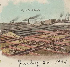 A horizon of smoke shack factory buildings foregrounded by cattle pens.