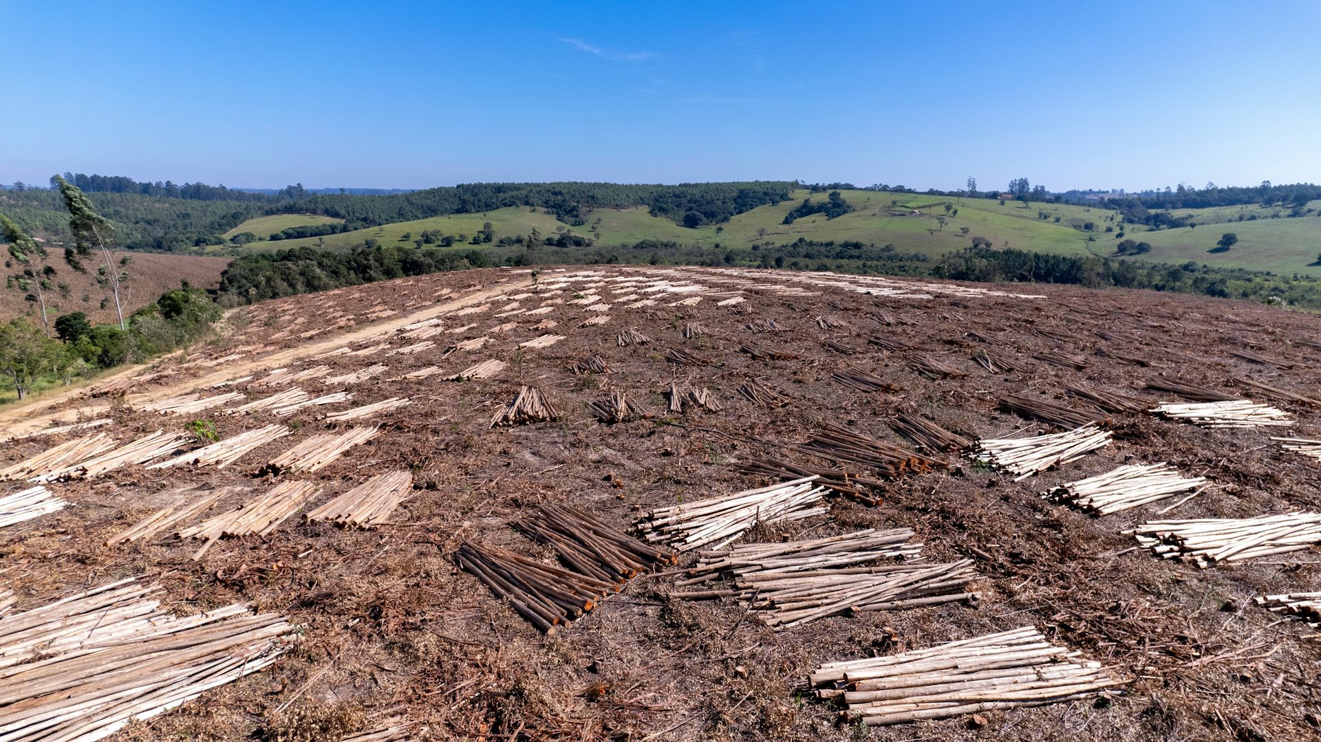 file 20260204 64 libwn1.jpg?ixlib=rb 4.1