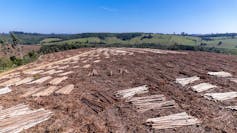 The EU-Mercosur Settlement: when radiochronology strains the rural historical past of the South American Pampas 3 file 20260204 64 libwn1.jpg?ixlib=rb 4.1