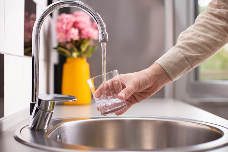 man's hand filling up glass with tap water in kitchen with flowers in background