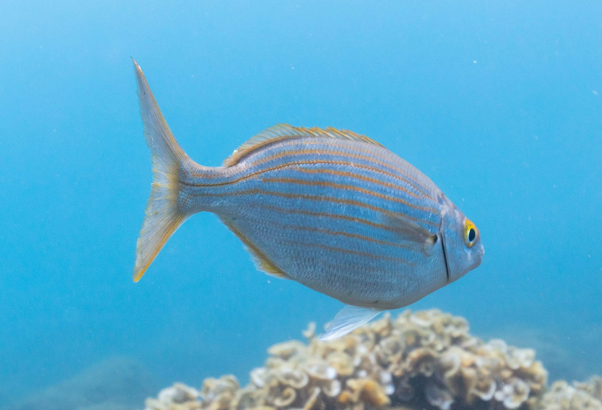 file 20260205 56 vrqiah.jpg?ixlib=rb 4.1