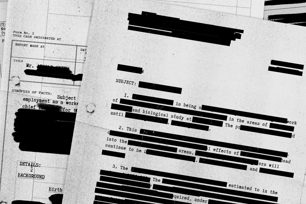 Epstein files: who decides what information is released to the public?