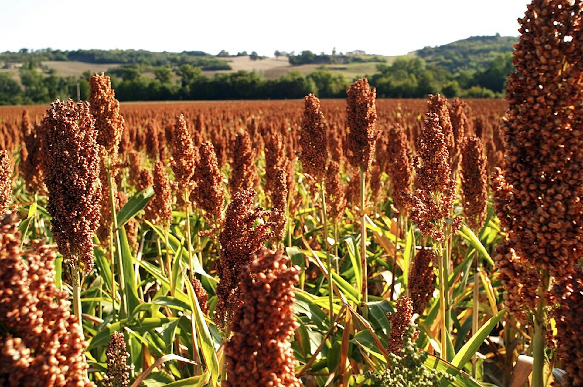 file 20260205 56 rk8z5o.jpg?ixlib=rb 4.1