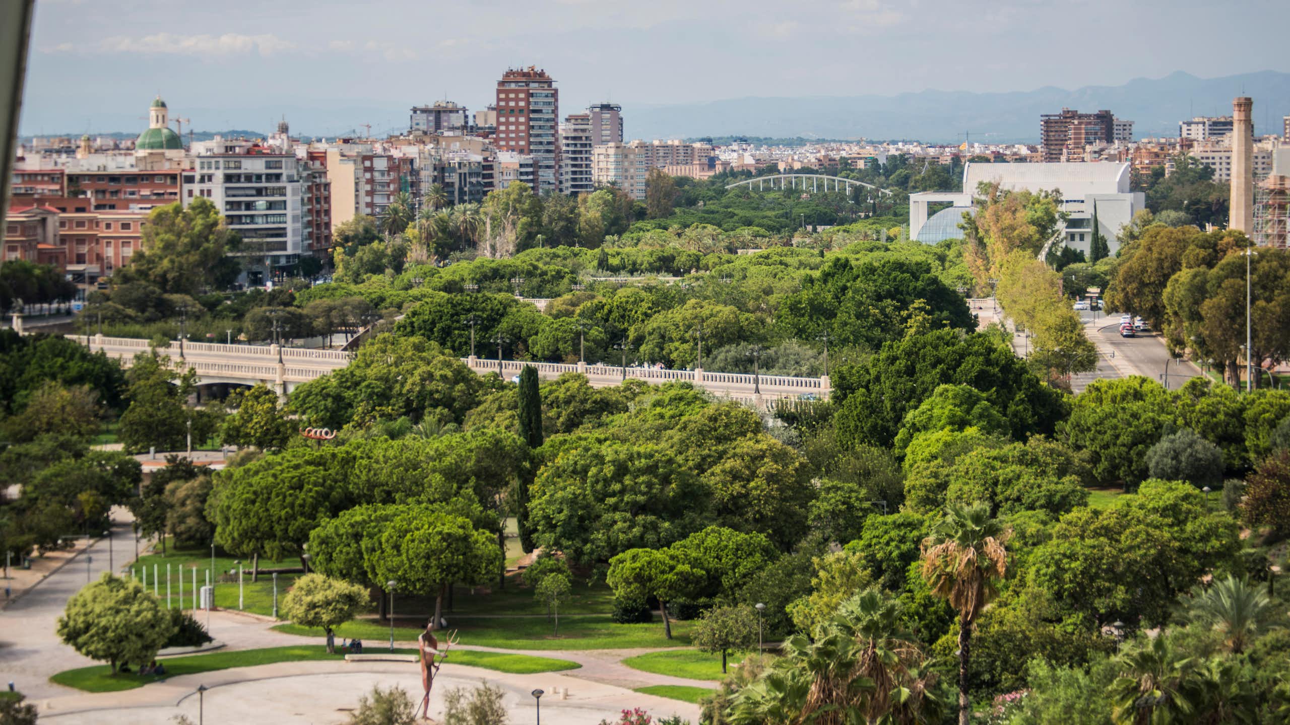 L'antic llit del riu Túria a València, ple d'arbres i vegetació, travessa la ciutat, amb edificis a ambdòs costats