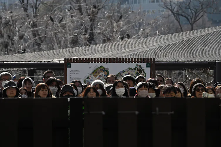 People gathered at the fence of the Ueno Zoo.