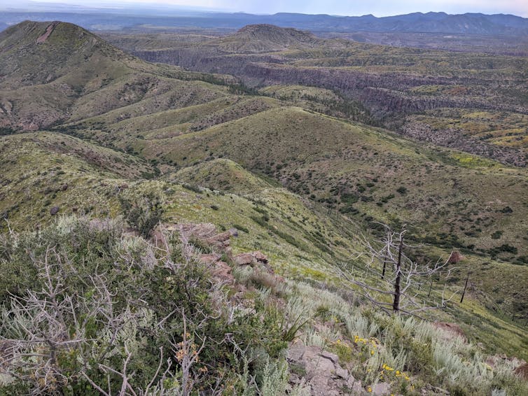 A view of rolling hills with low vegetation.