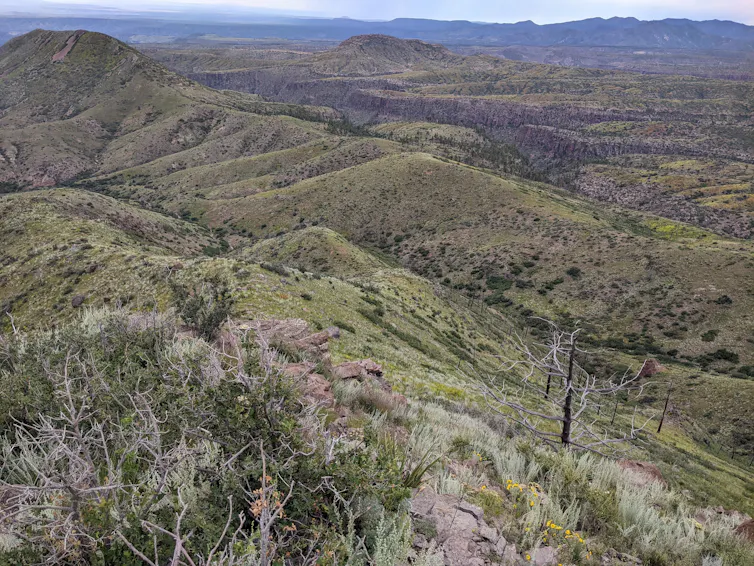 A view of rolling hills with low vegetation.