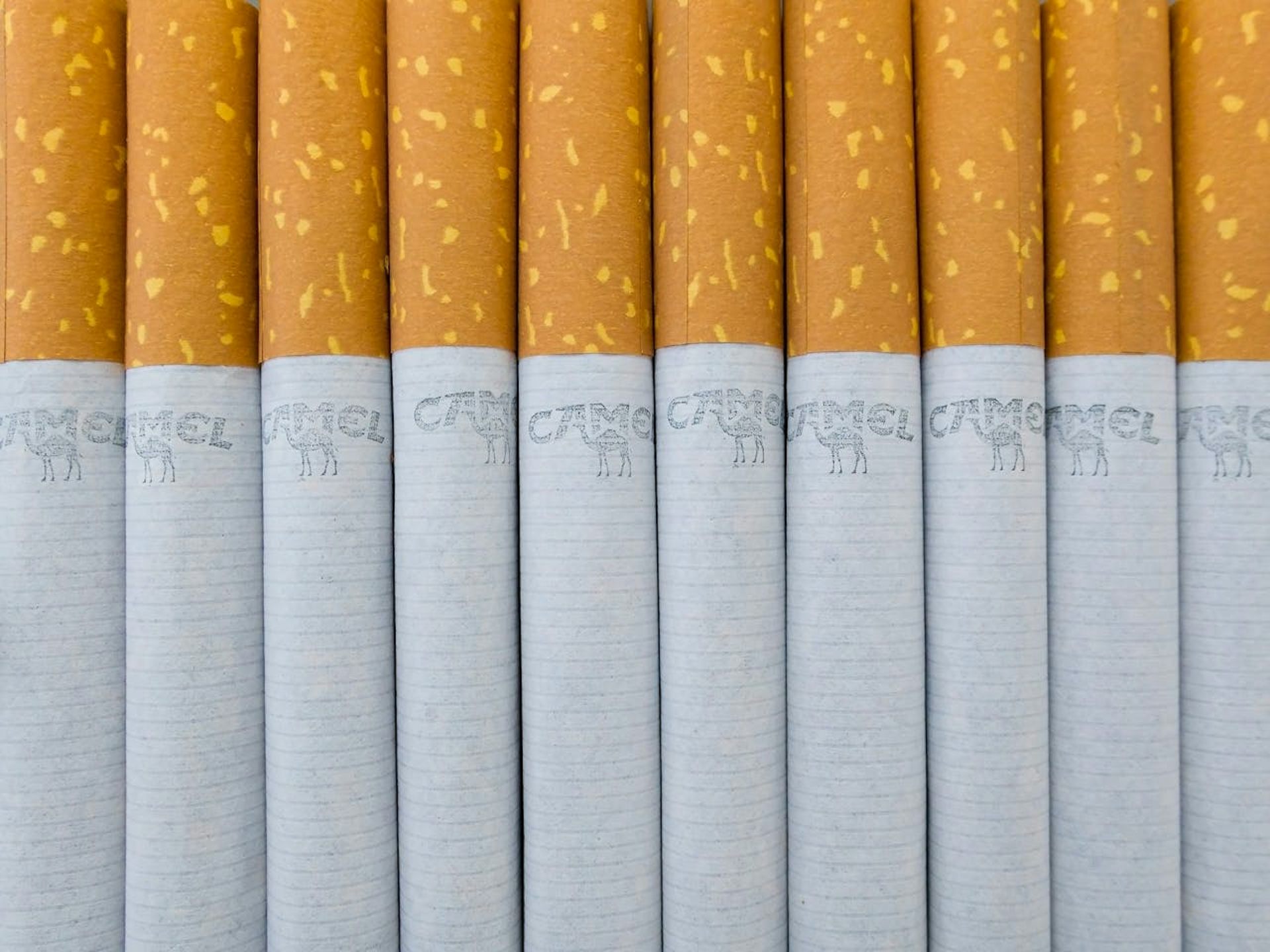 Why scrapping a key health promotion agency makes little economic sense