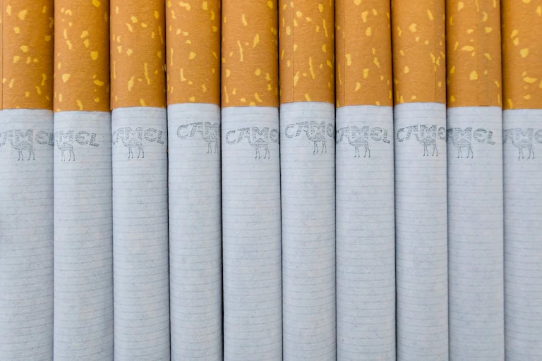 Close-up of cigarettes lined up in a row