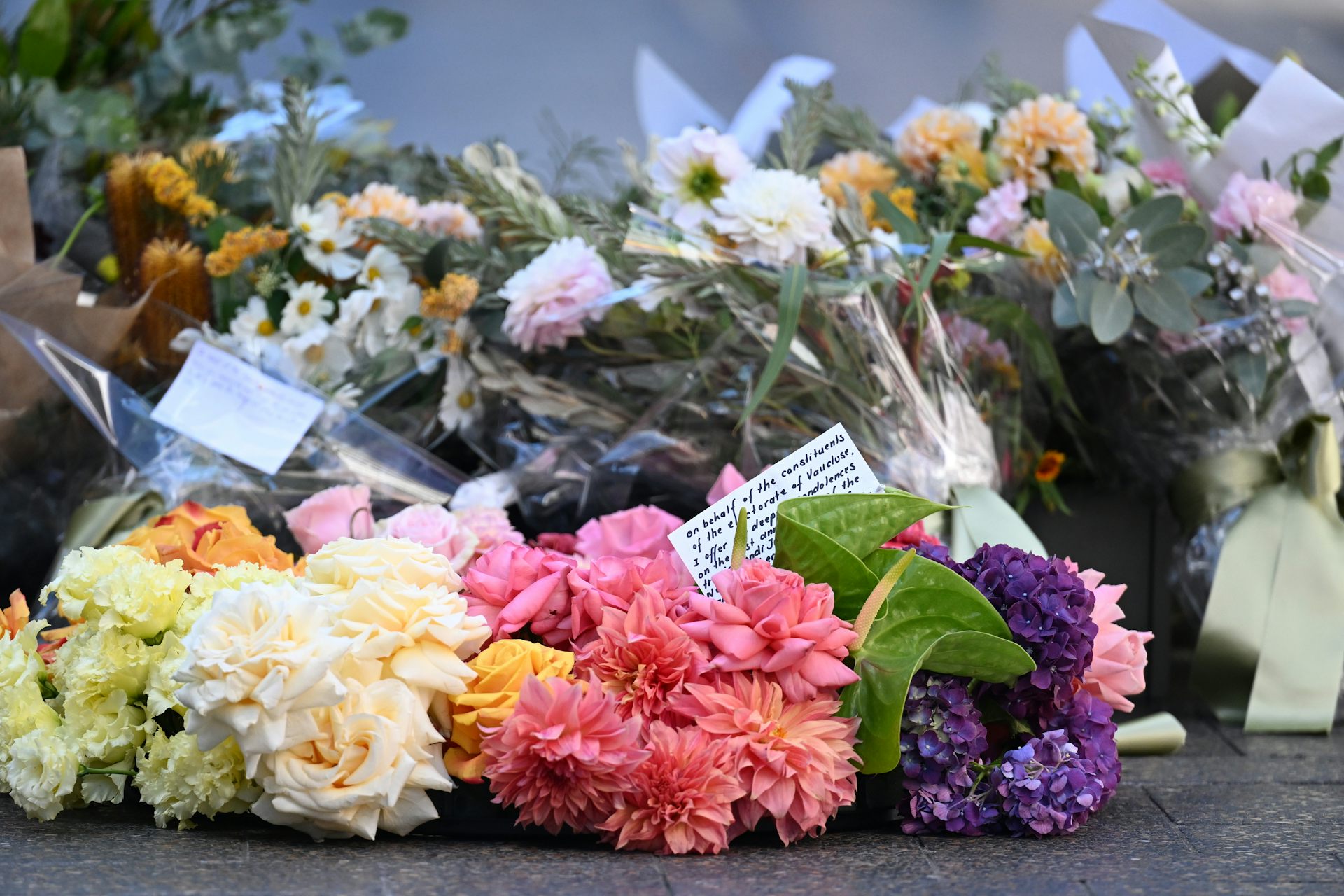 Lessons from Bondi Junction attack show what we really need from schizophrenia care