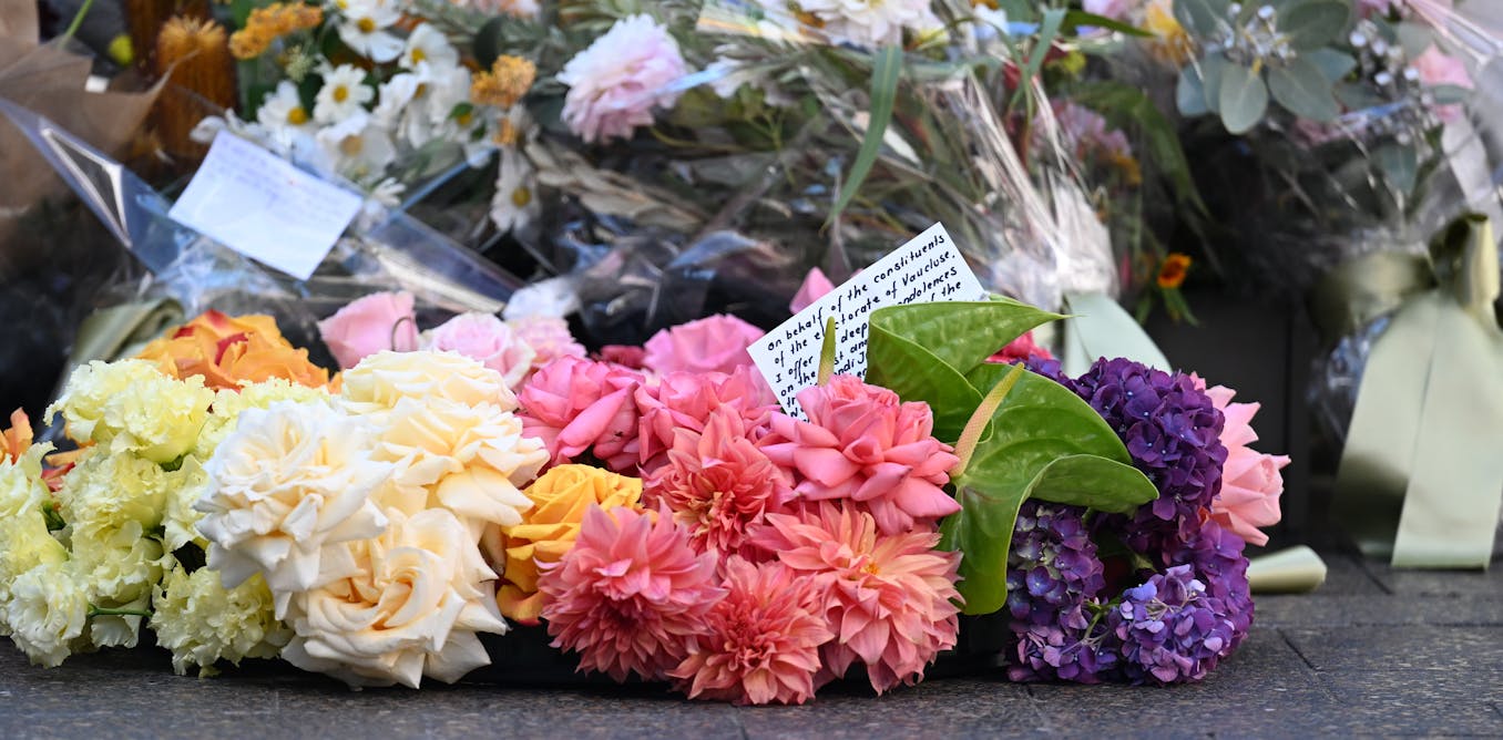 Lessons from Bondi Junction attack show what we really need from schizophrenia care Lessons from Bondi Junction attack show what we really need from schizophrenia care