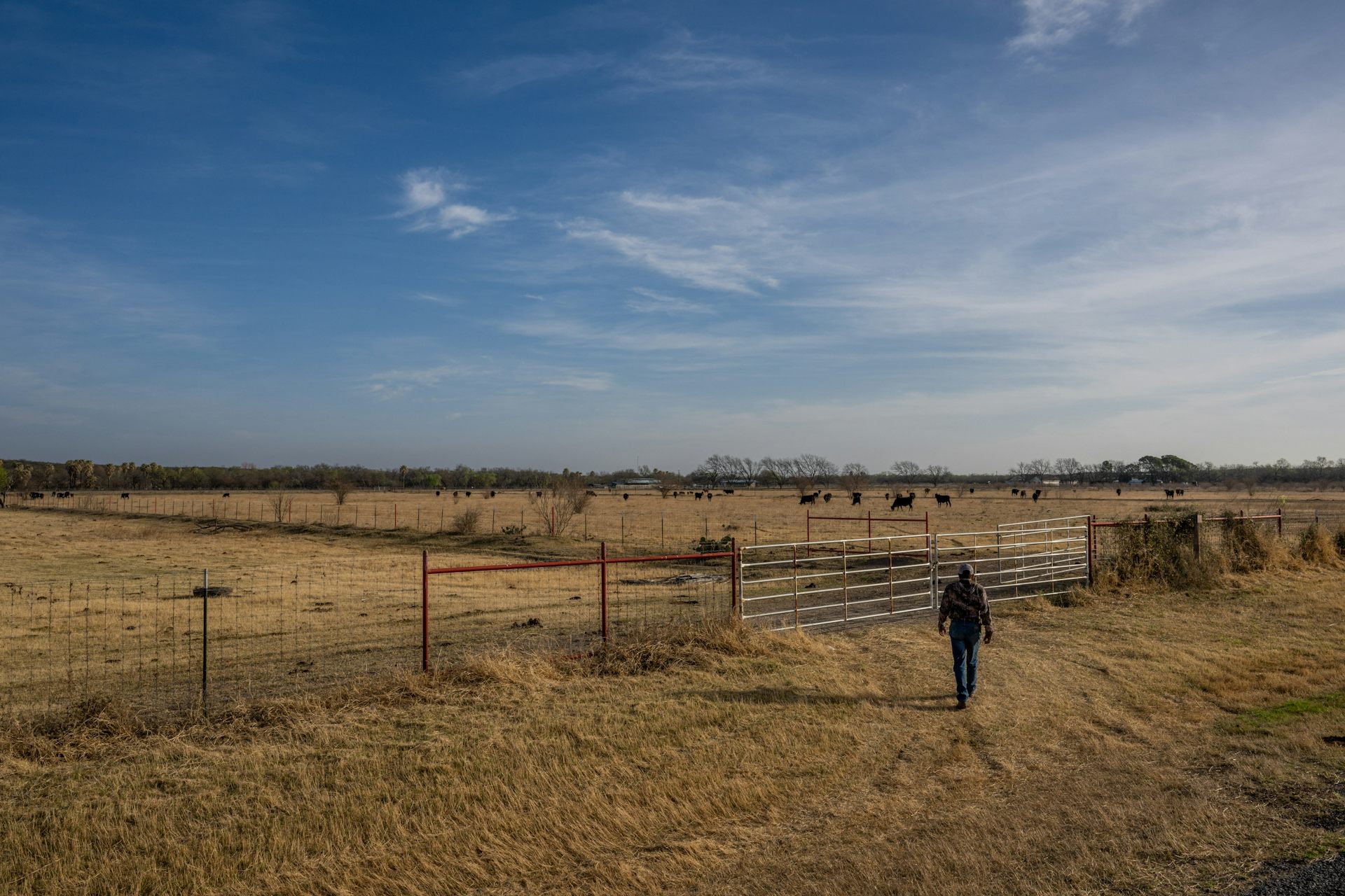 Sixth year of drought in Texas and Oklahoma leaves ranchers bracing for another harsh summer