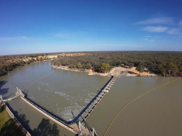 A lock, that looks like a pier, lies across the wide, brown width of the Murray.