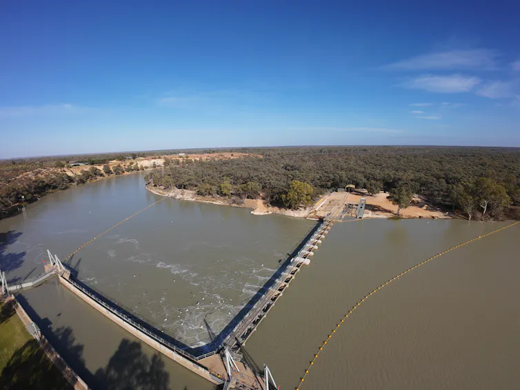 A lock, that looks like a pier, lies across the wide, brown width of the Murray.