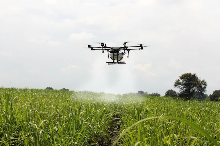 A drone spraying a crop