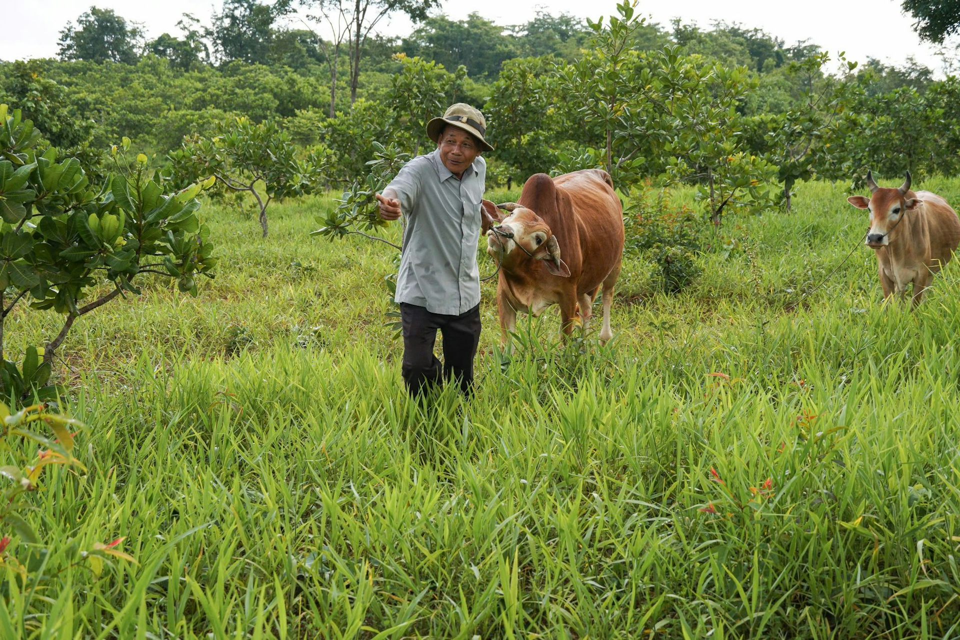 file 20260209 56 8icilc.jpg?ixlib=rb 4.1